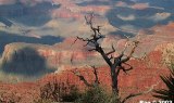 Grand Canyon - Arizona 2003